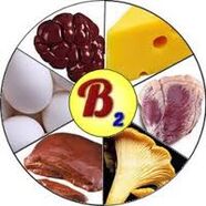 Б2 витамини за мозокот